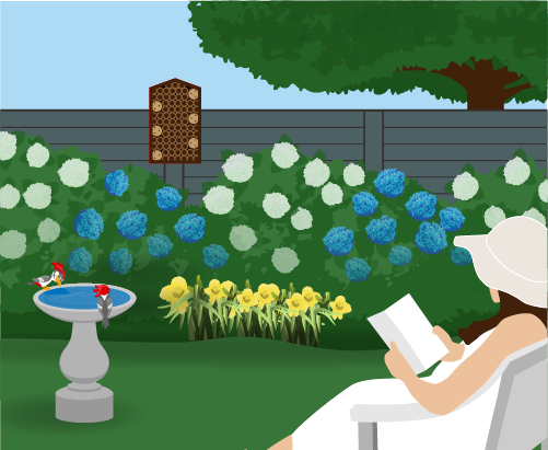 Woman reads book in a garden. two birds in birdbath, blue, white, and yellow flowers, a wood bug hotel, and fence.